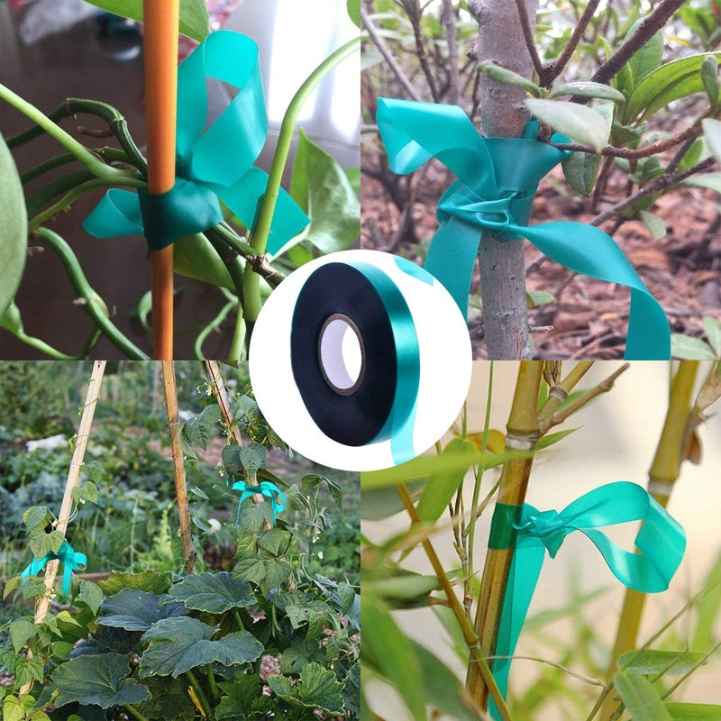 Medoore 12 Rolls 150 Feet Stretch Tie Tape 0.5 Inch Garden Tie Tape Thick Plant Ribbon Garden Green Vinyl Stake for Indoor Outdoor Patio Plant Use - Image 4